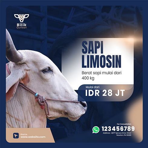 Brand-Identity-3-Biiq-Qurban